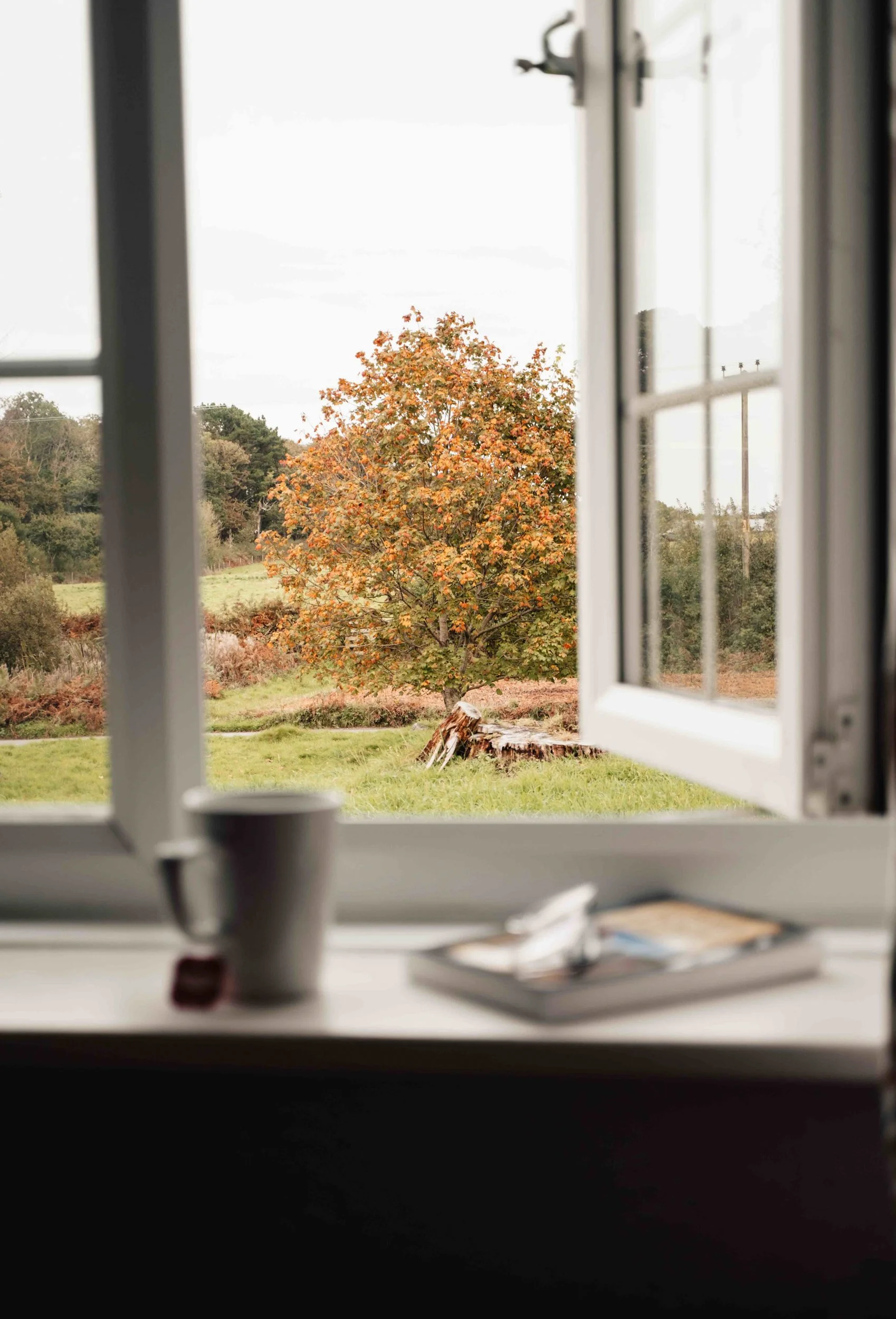 Burnbake Forest Lodges