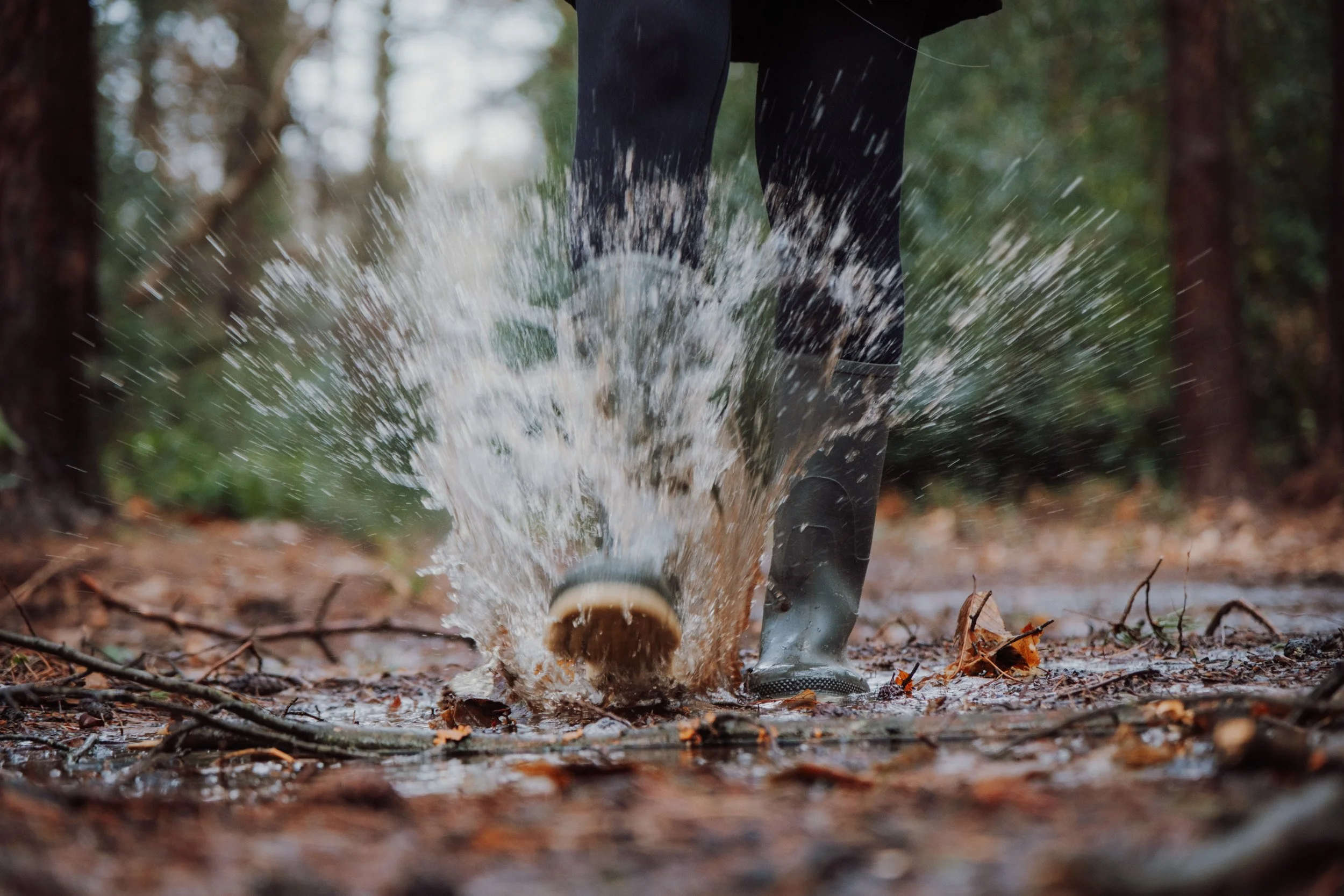 Burnbake Lodge - DSCF8236.jpg