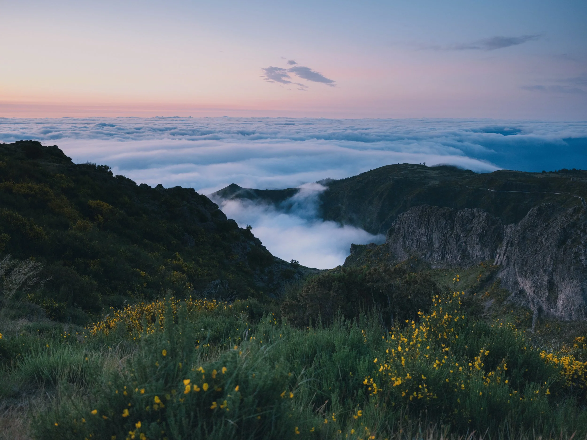 Visit Madeira - Madeira portfolio DSCF3279.jpg