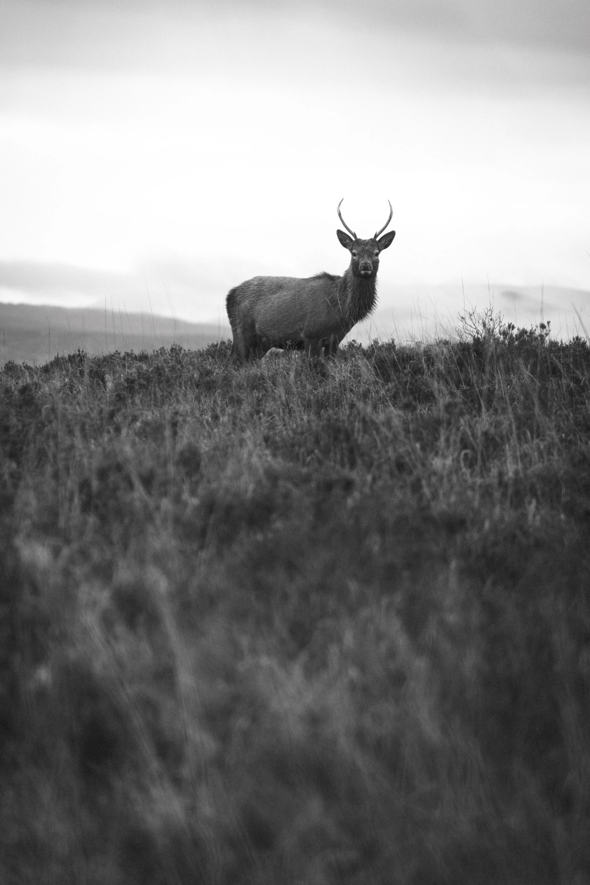 Scotland - Glencoe 15.jpg