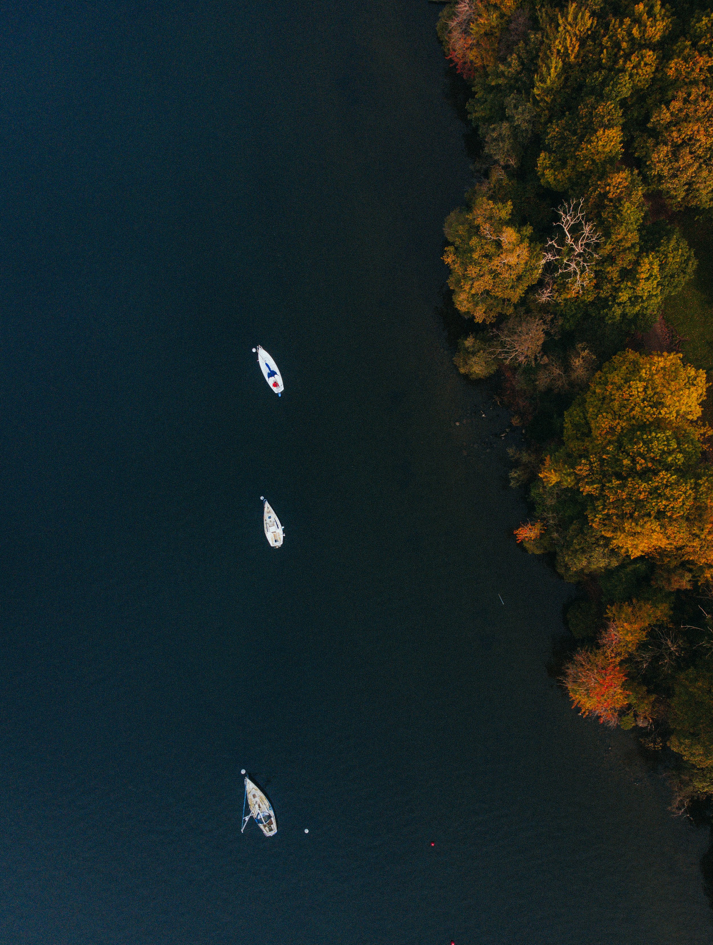DJI_0911.jpg