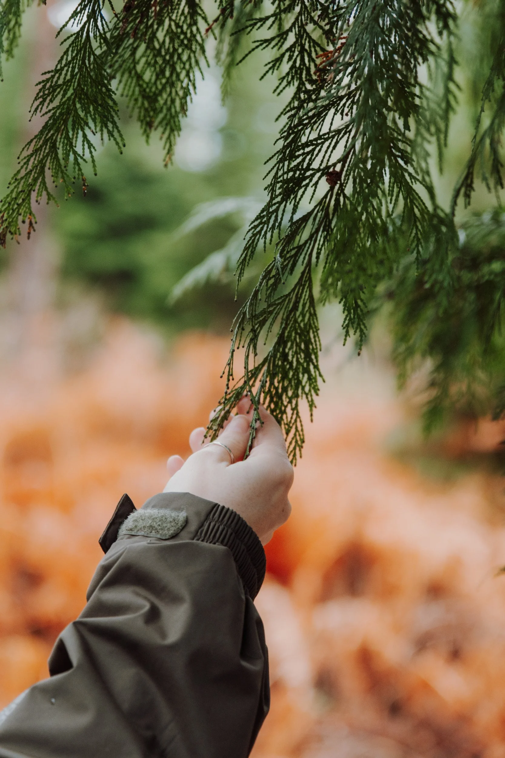 Burnbake Lodge - DSCF8300.jpg