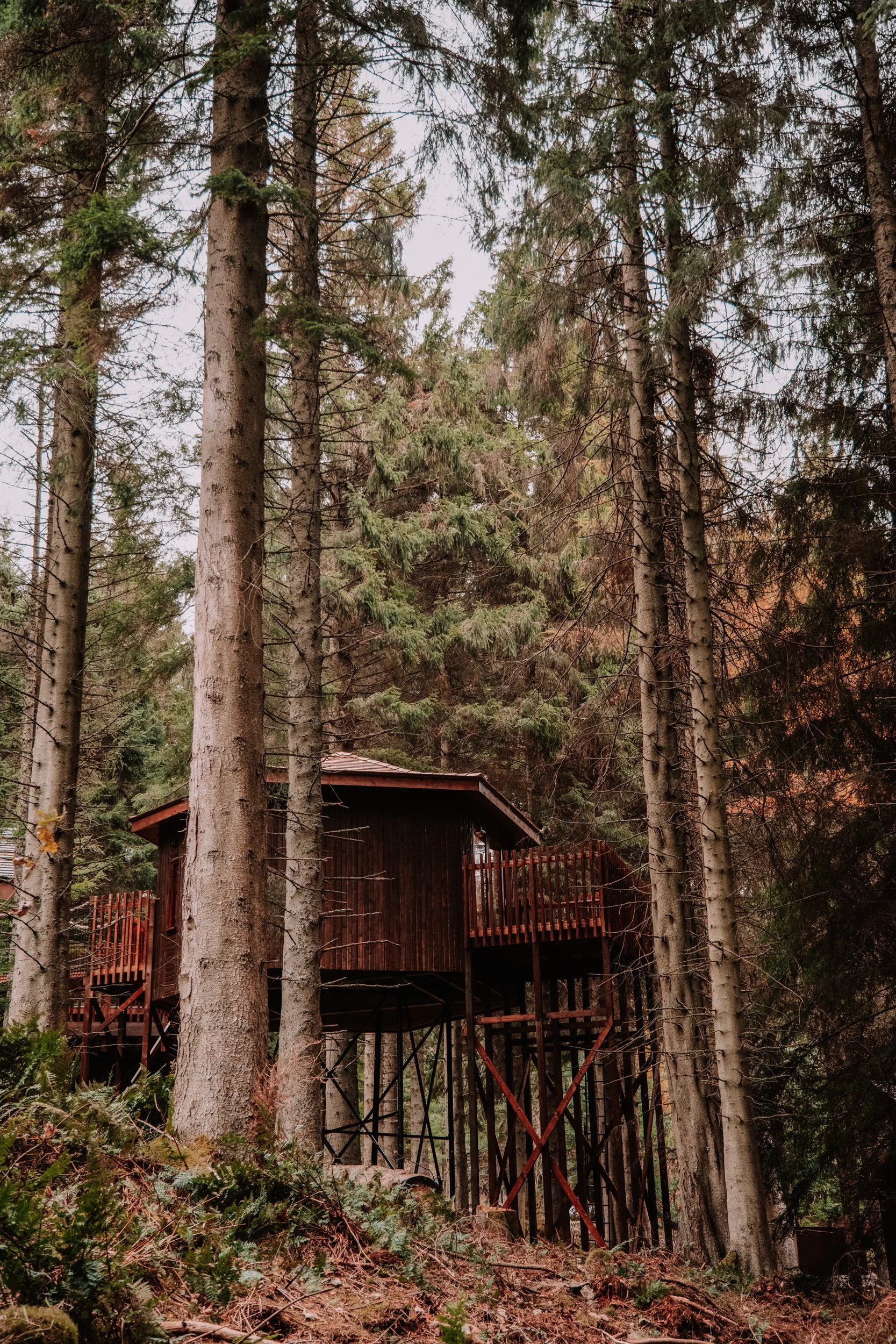 Forest Holidays - FH Low ResresizeDSCF6358.jpg