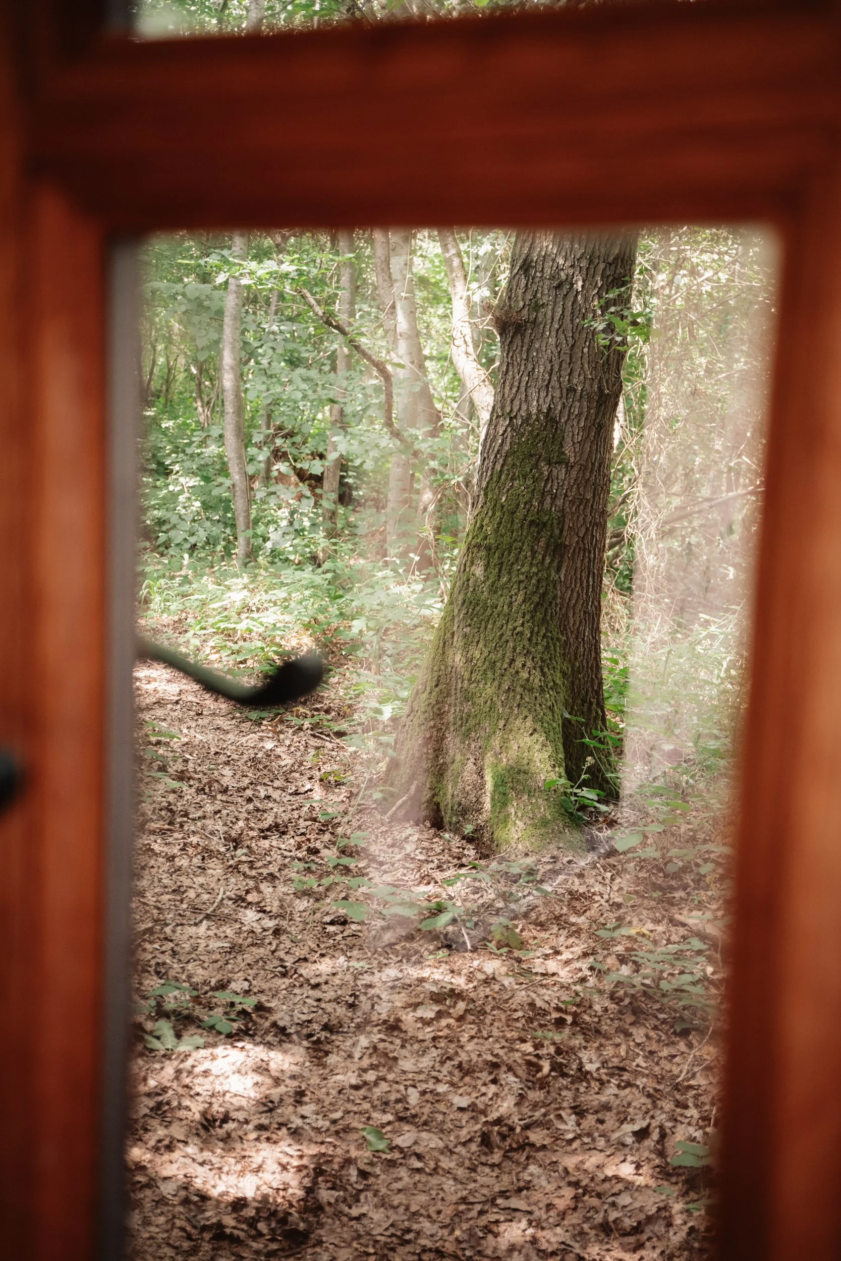 Brook House - DSCF0917.jpg