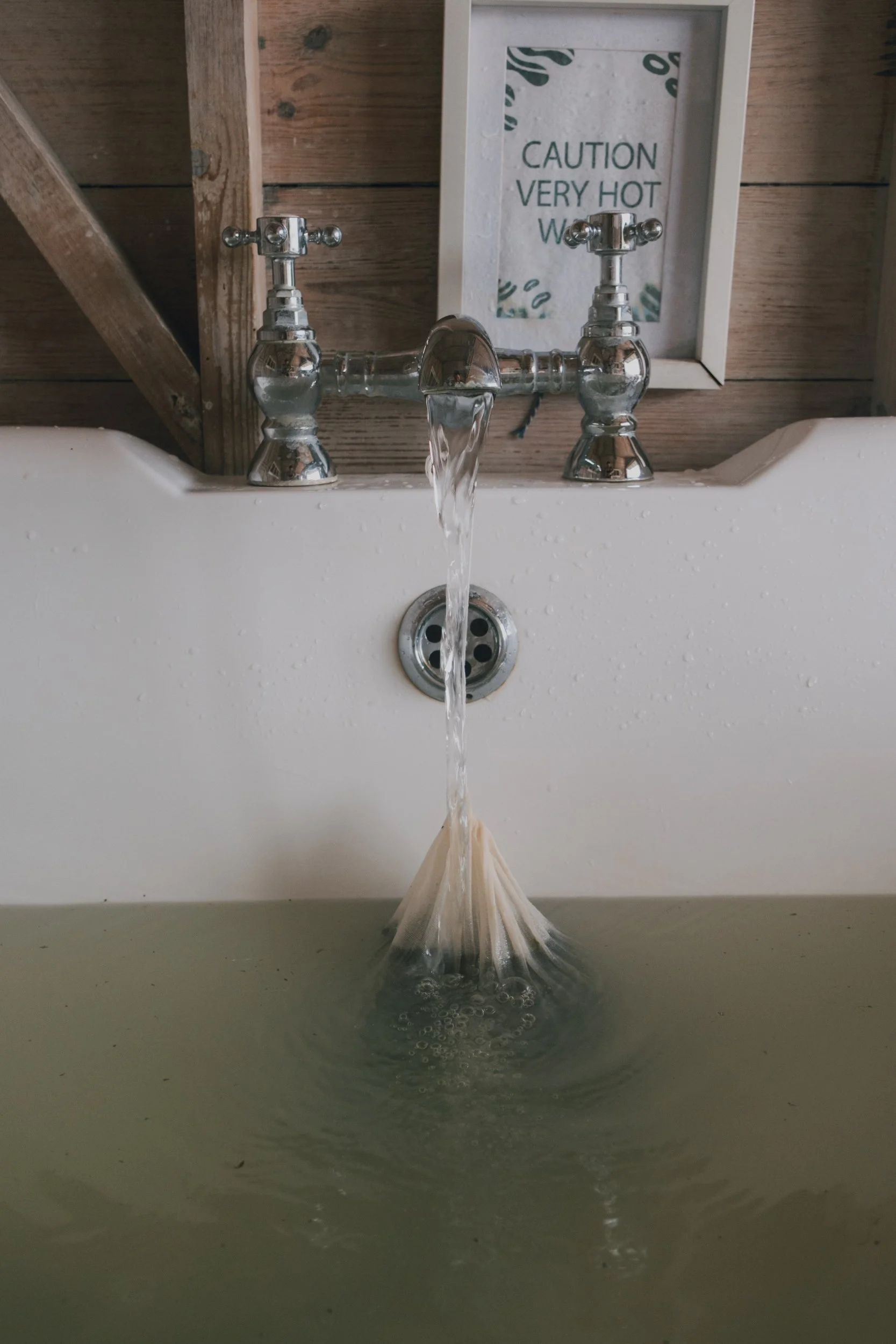 Saeweed DSCF6229.jpg