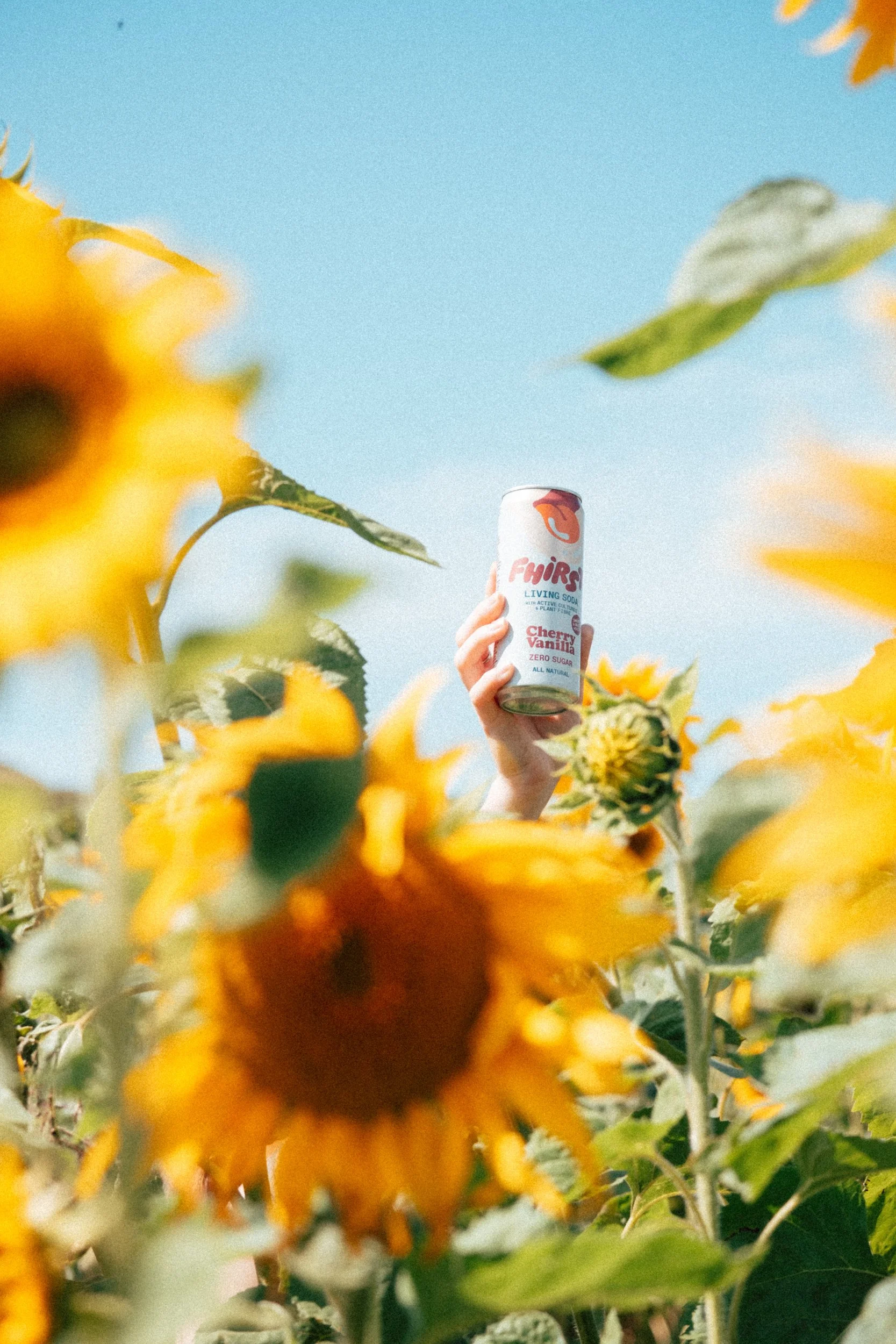 Fhirst - DSCF2920.jpg