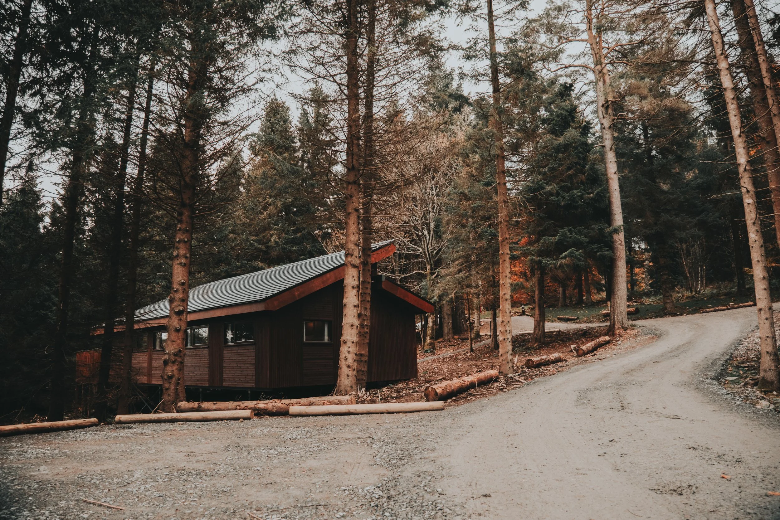 Forest Holidays - FH Low ResresizeDSCF6691.jpg