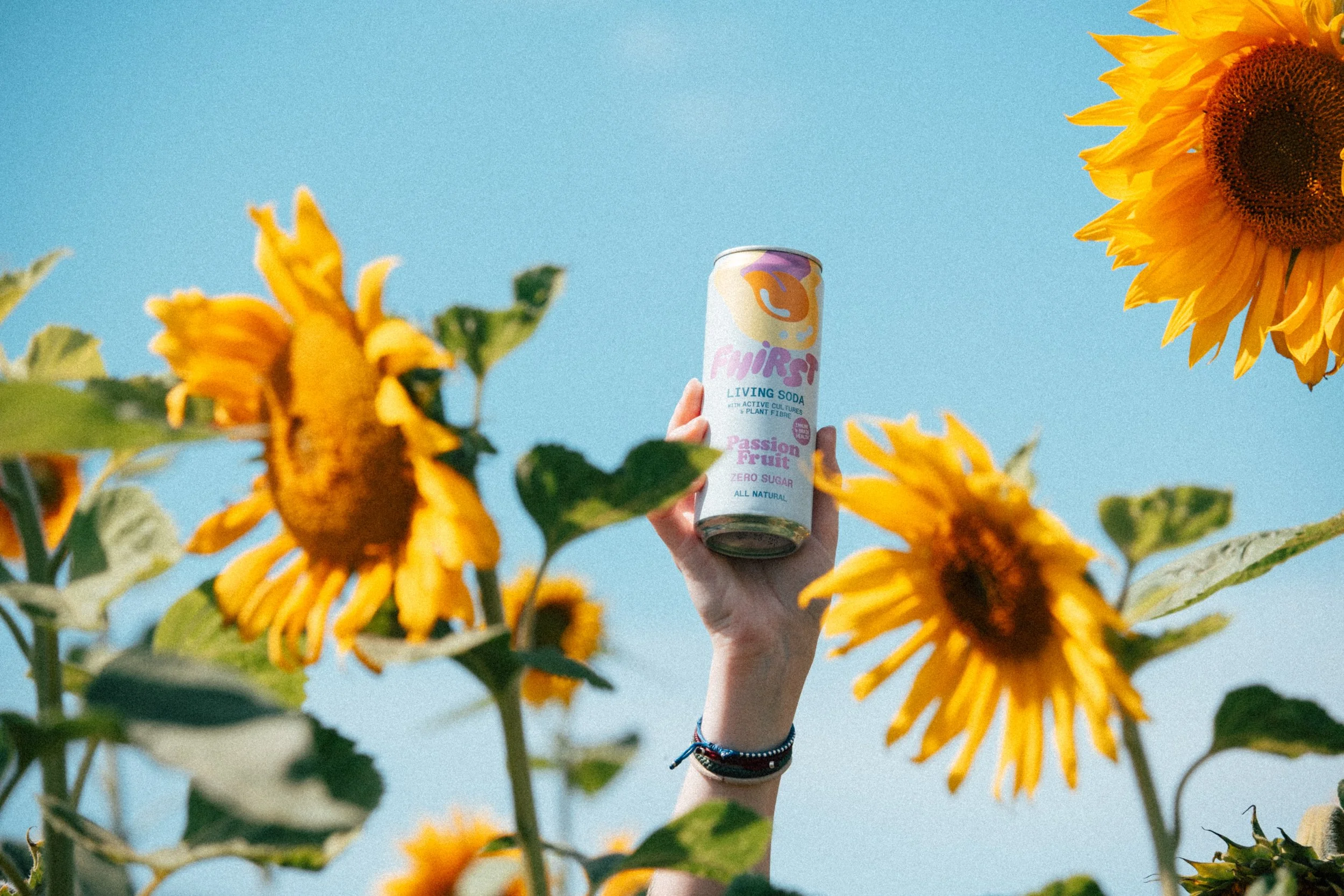 Fhirst - DSCF2924.jpg