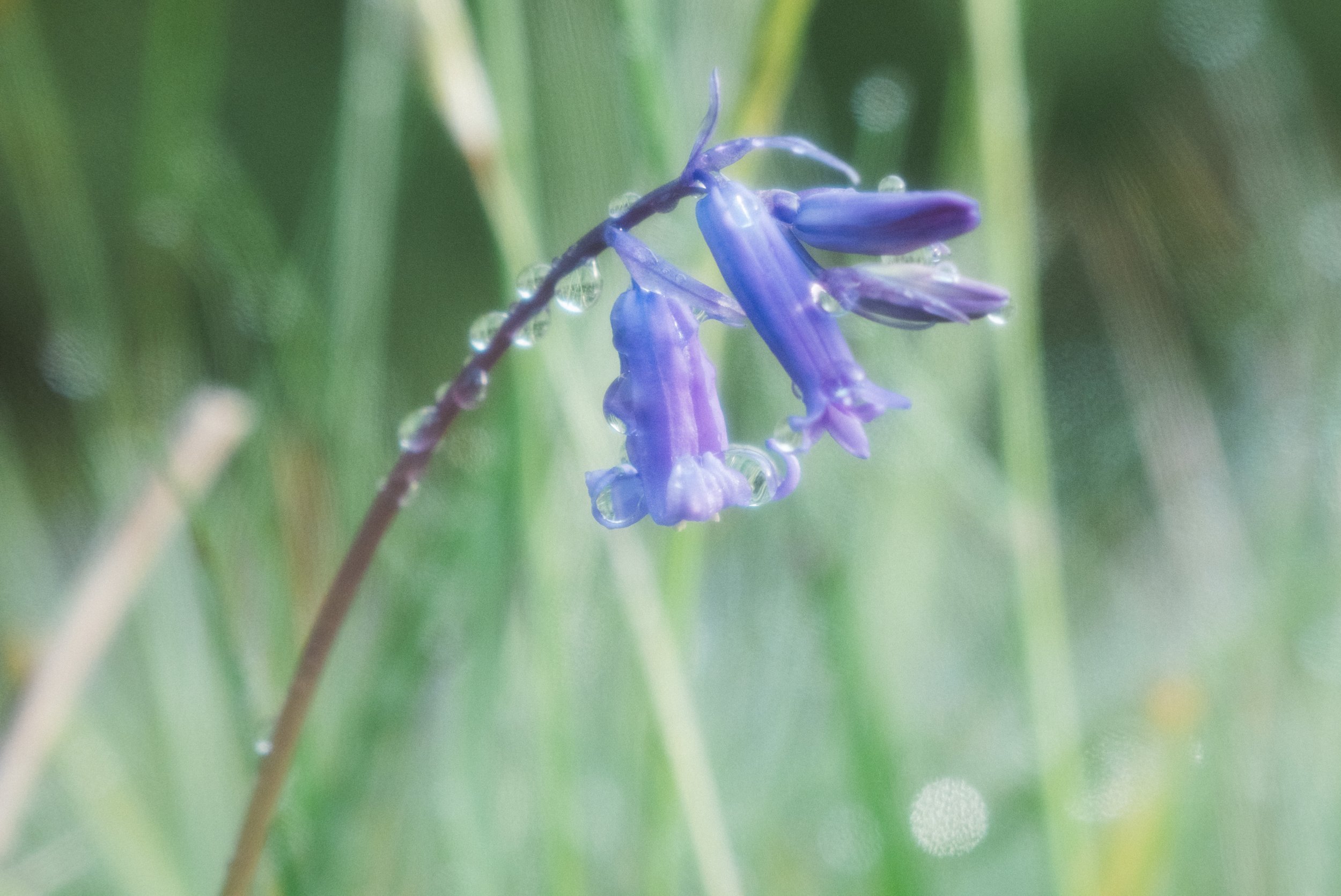 DSCF3491.jpg