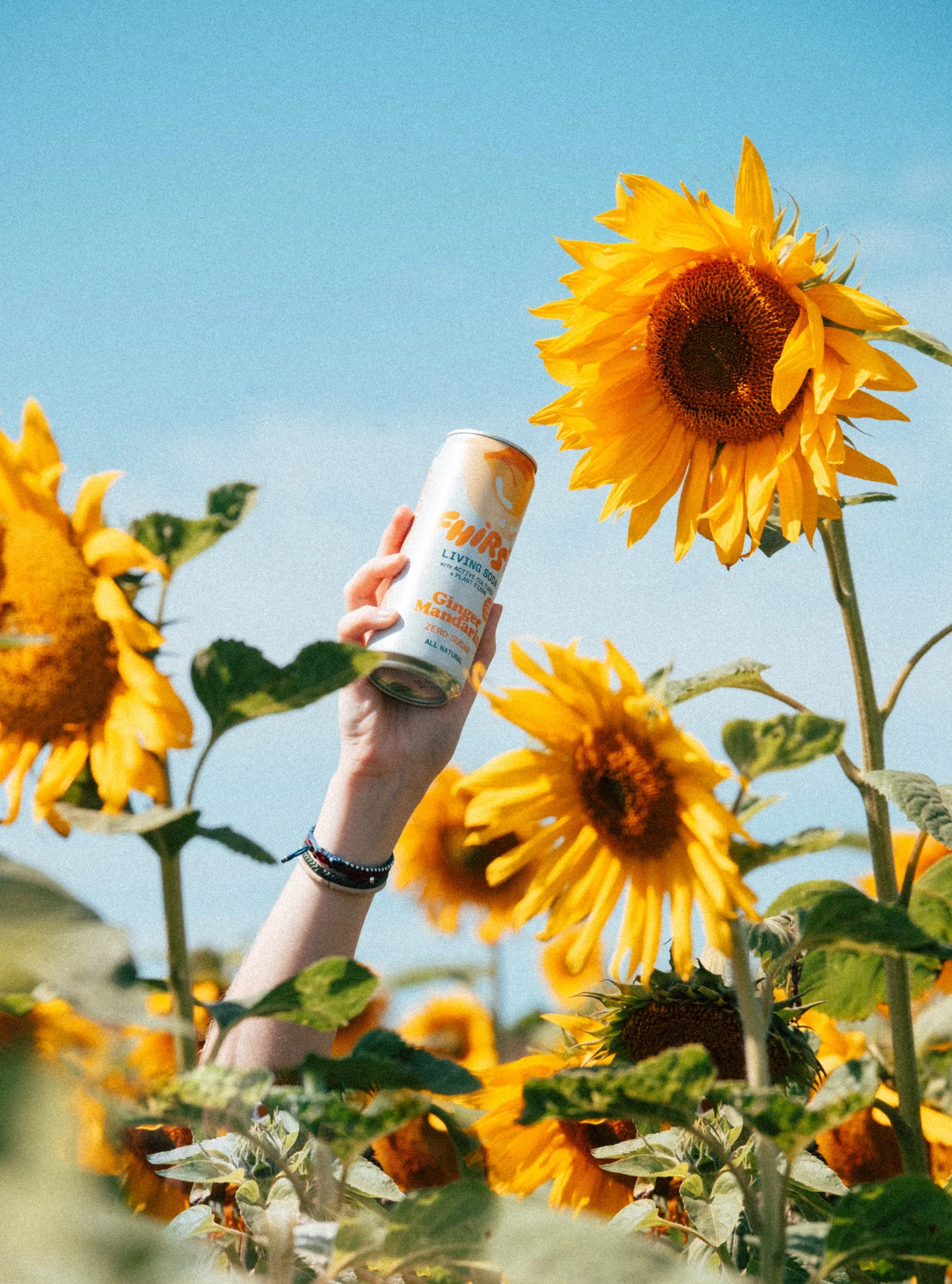 Fhirst - DSCF2928.jpg