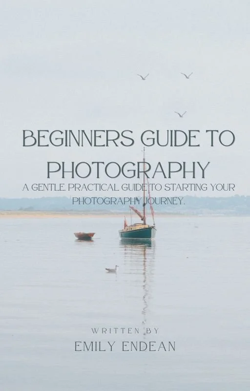 Beginners Guide to Photography Ebook