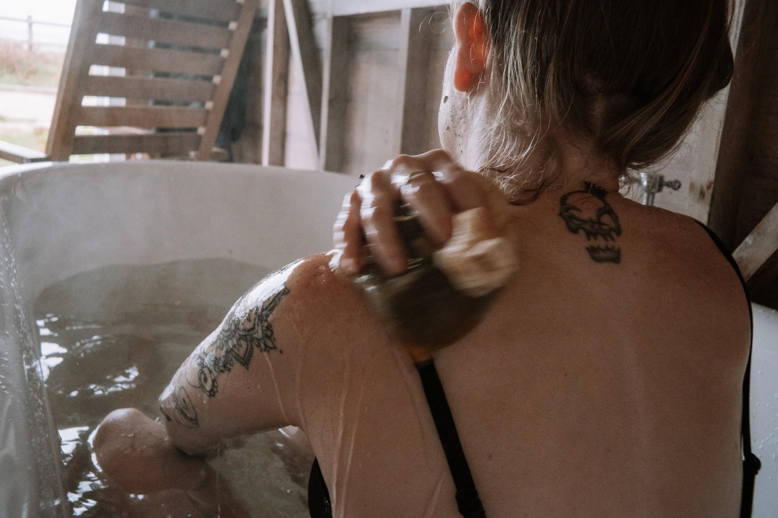 Saeweed DSCF9130.jpg