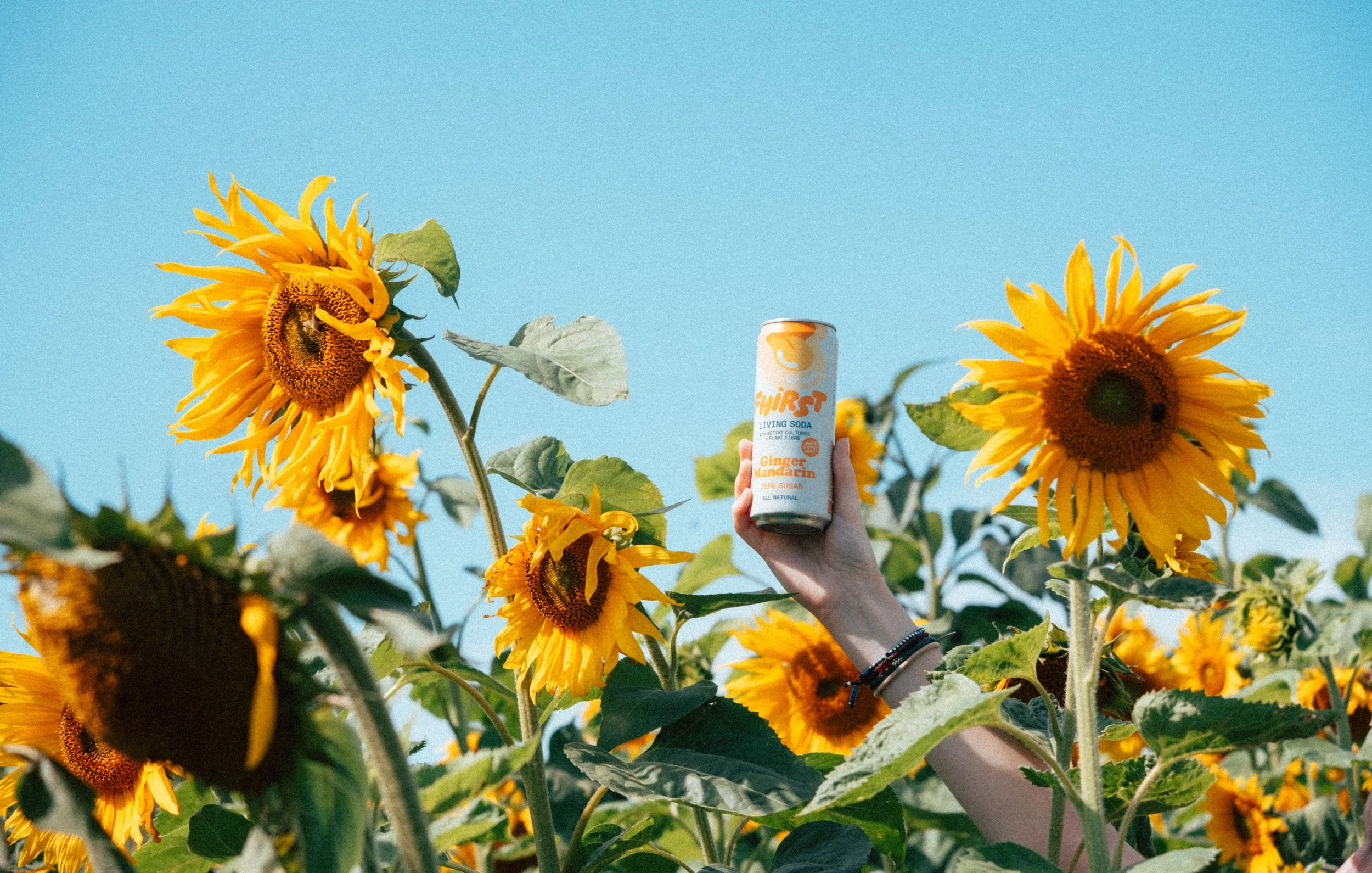 Fhirst - DSCF2910.jpg