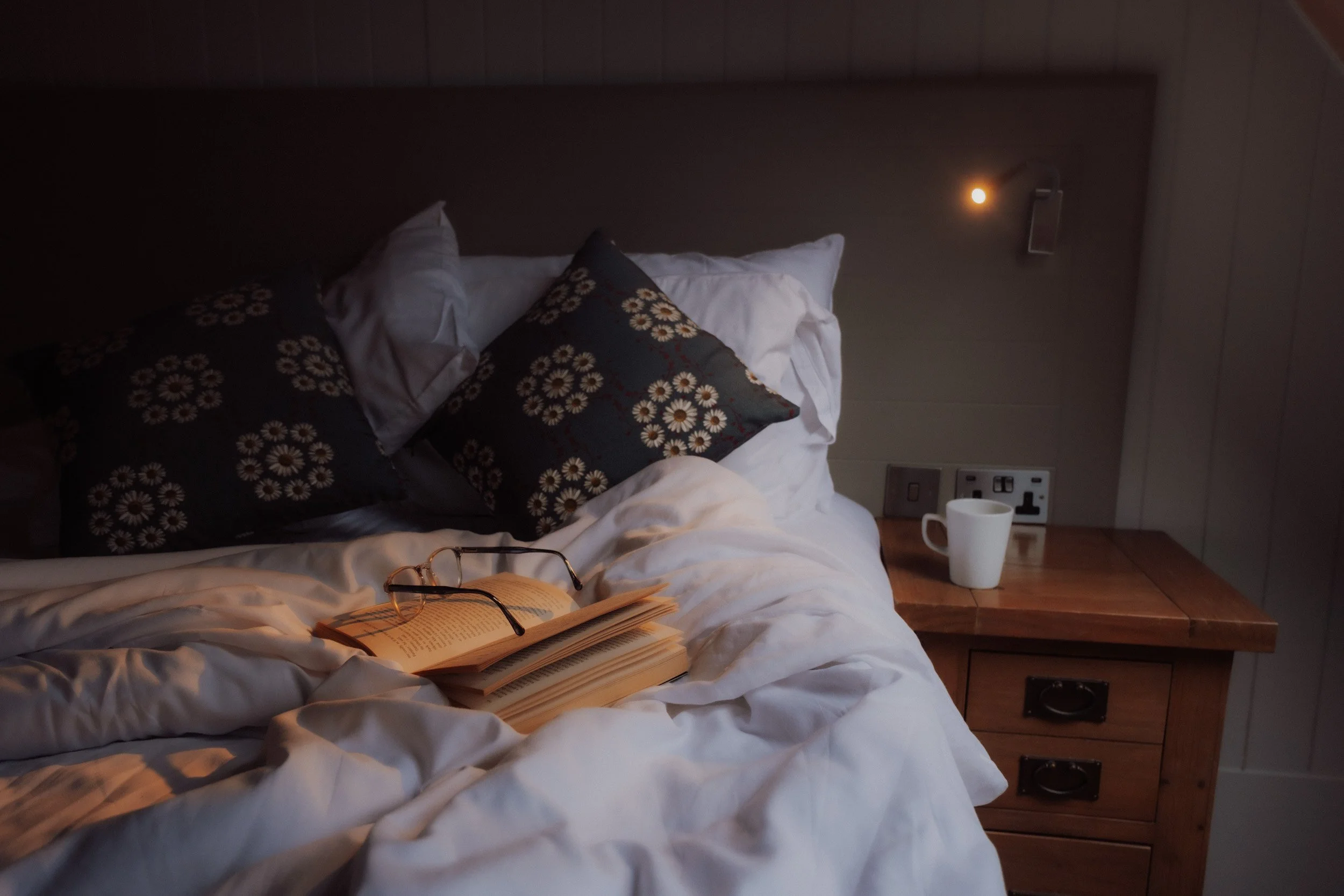 Burnbake Lodge - DSCF8344.jpg