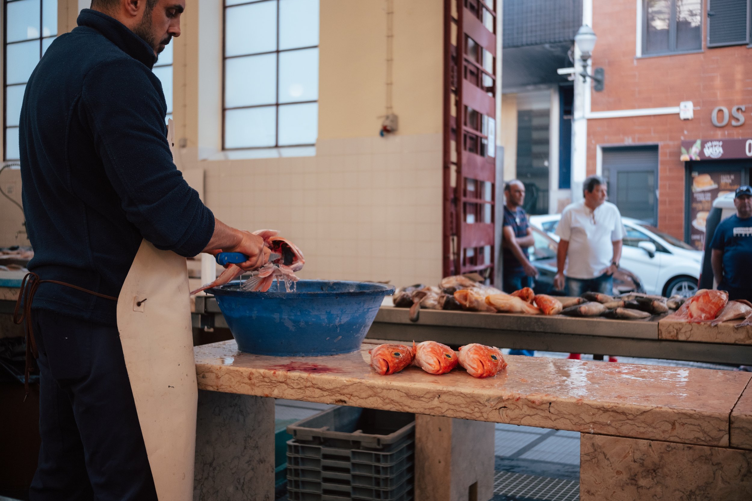 Visit Madeira - DSCF0910.jpg