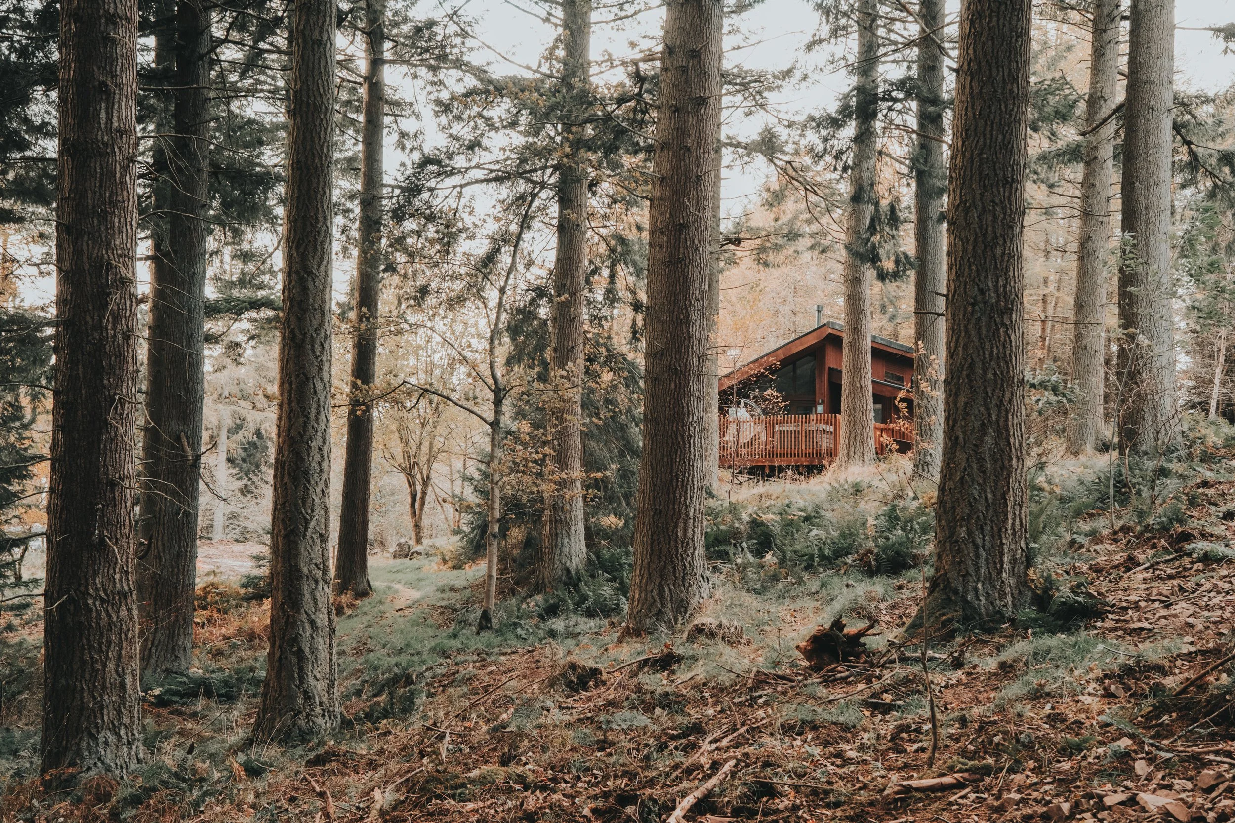 Forest Holidays - FH Low ResresizeDSCF6779.jpg