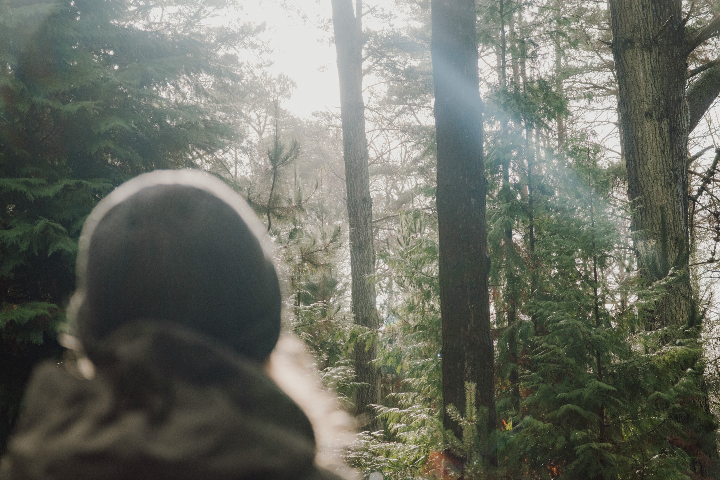 Burnbake Lodge - DSCF8338.jpg