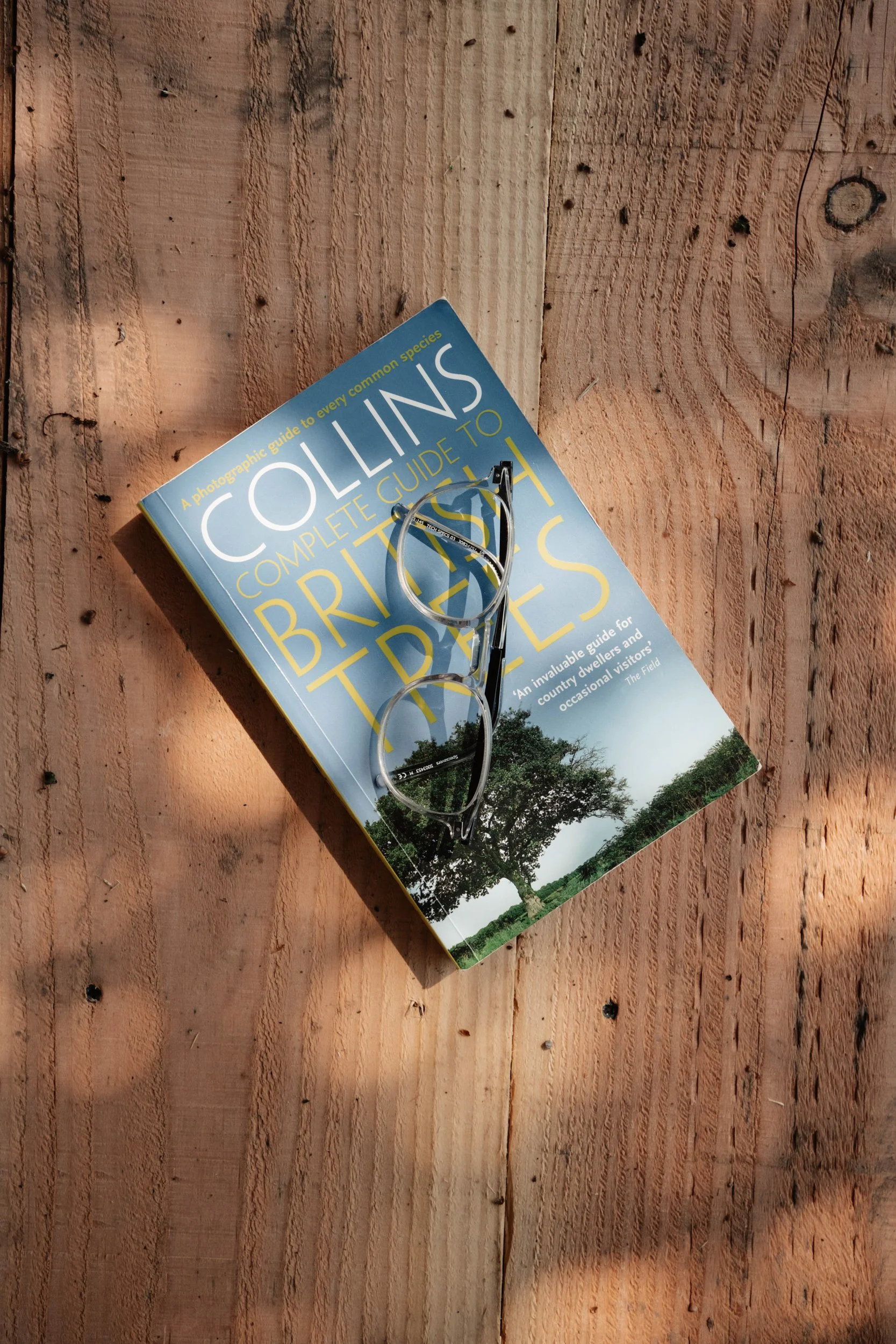 Brook House - DSCF0670.jpg