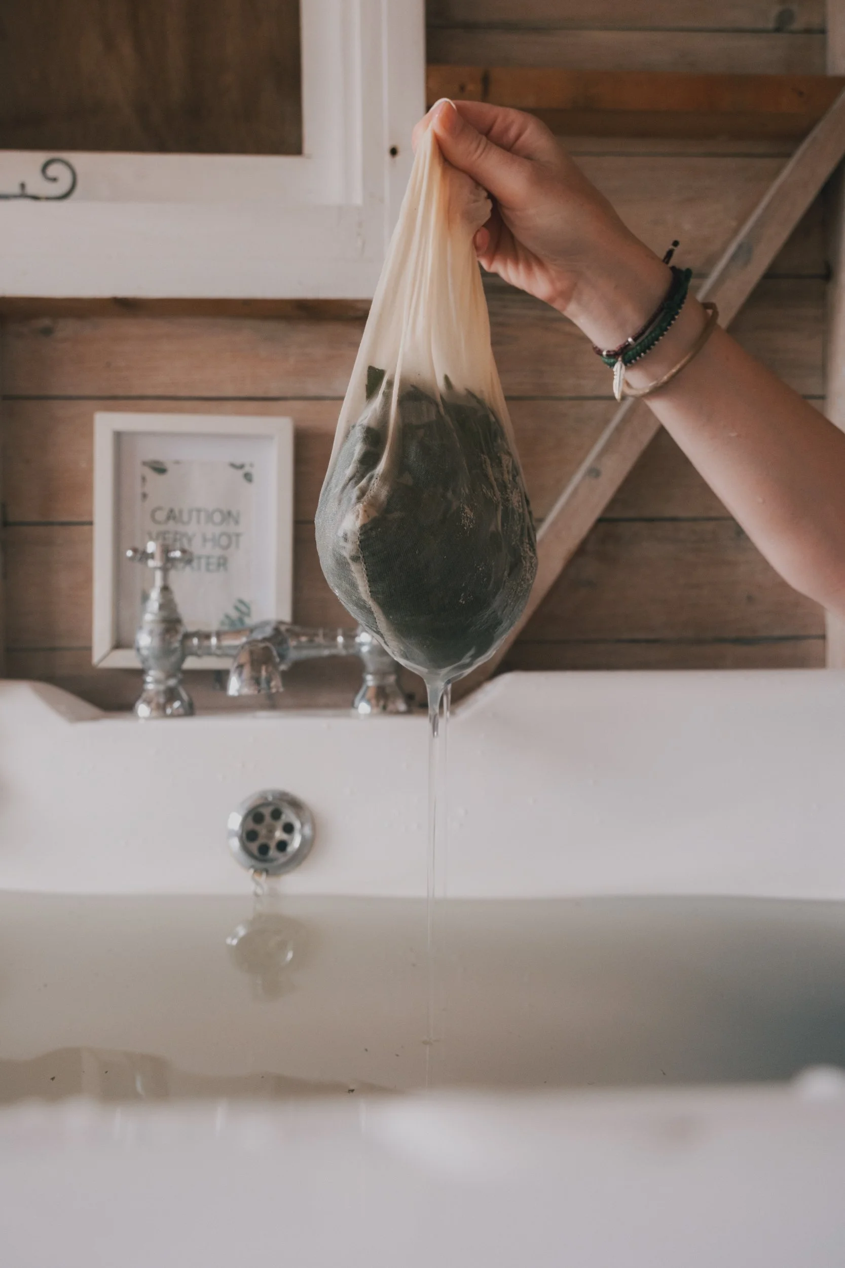 Saeweed DSCF6260.jpg