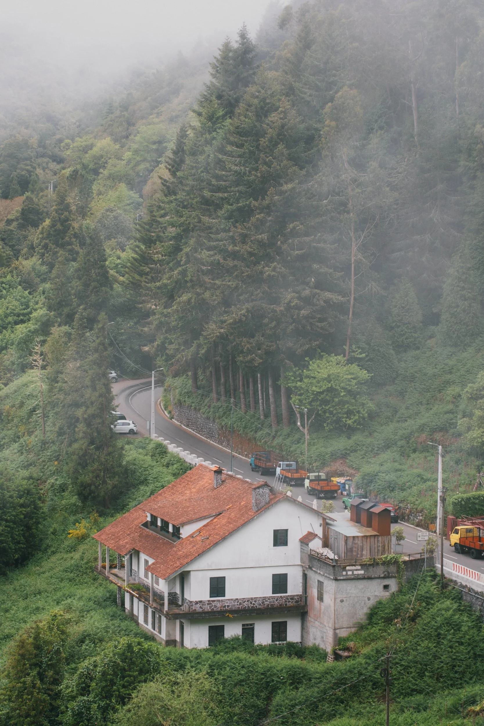 Visit Madeira - Madeira portfolio madeira-9779.jpg