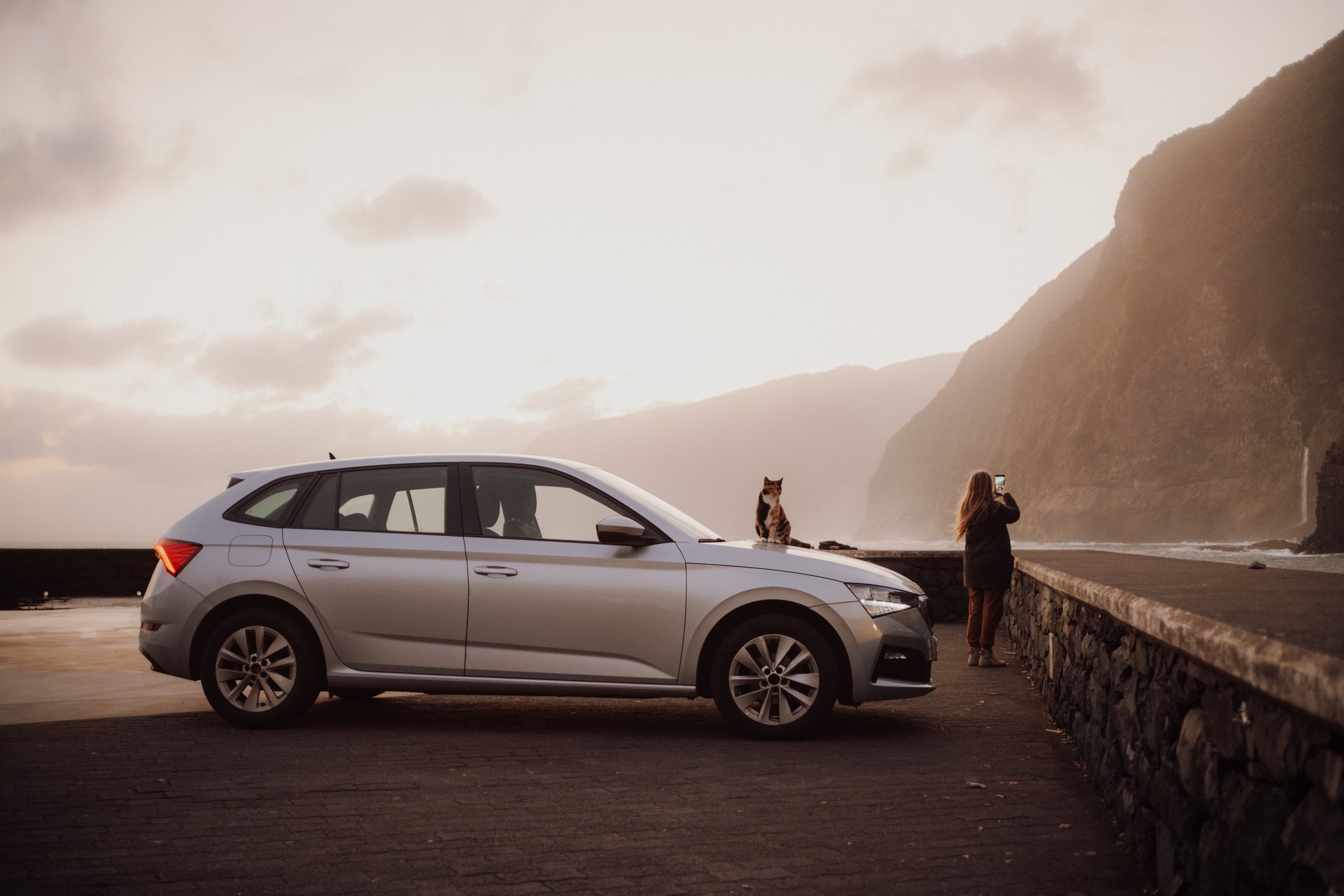 Rental Moniz - DSCF1386.jpg