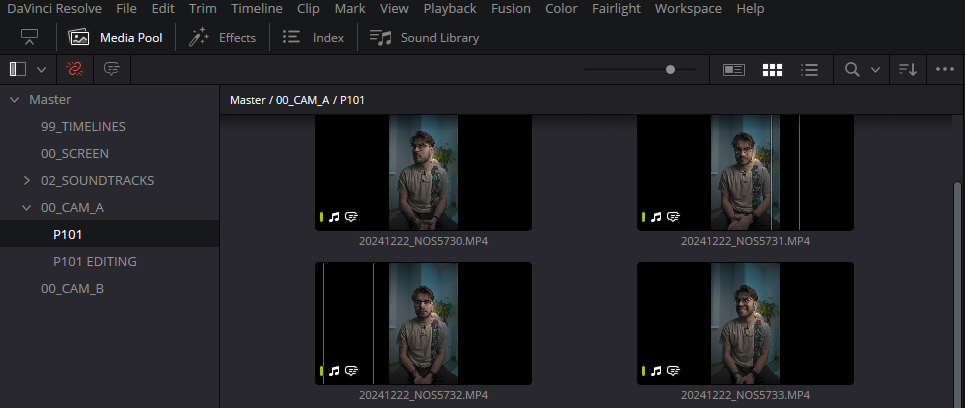 File Organisation. Davinci Resolve. Media Pool.