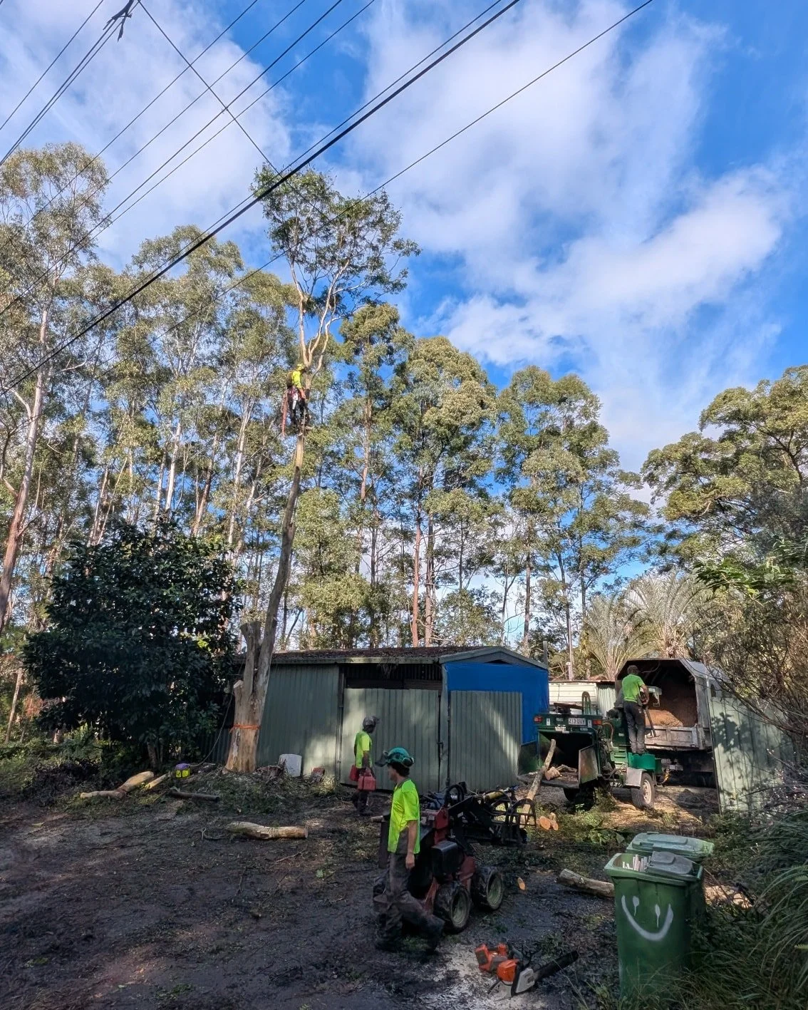 A tight fit between power lines and a shed, our team safely removed this one with no troubles. The right tools and the right experience 👌

Qualified and professional, contact us today for a free quote!

Arlo, Charlie &amp; Co.
0493454504
admin@green