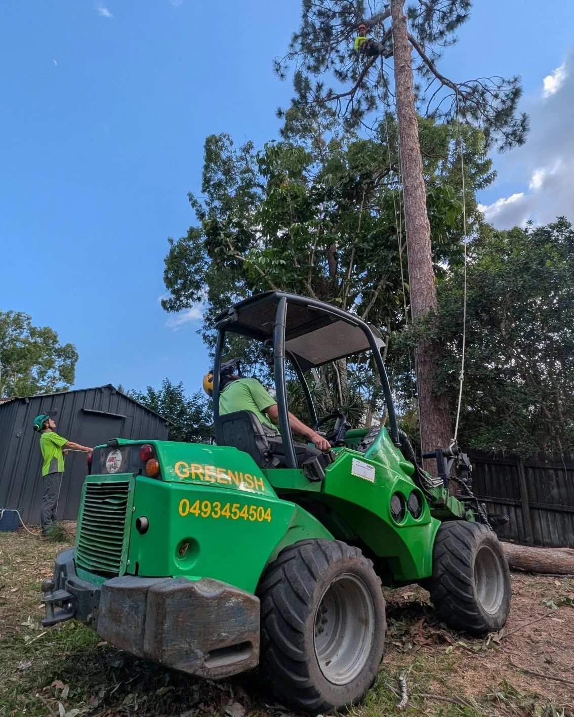 Sometimes a tree just has to go.

Maybe it&rsquo;s leaning a little too close to the house&hellip;
Maybe it&rsquo;s dropping half the forest into your gutters&hellip;
Maybe you're making room for the pool my kids want...
Maybe it&rsquo;s just in the 