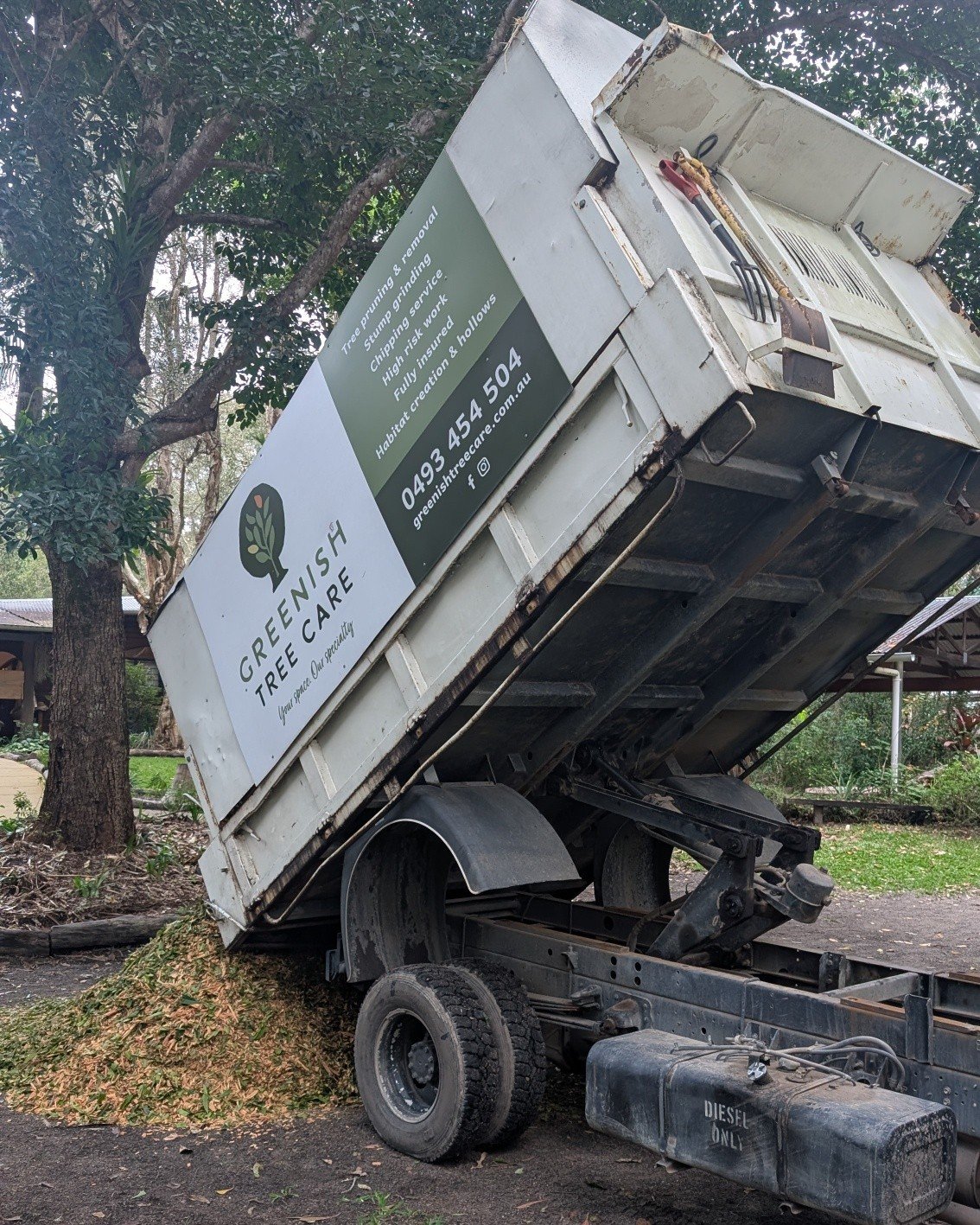 🌱 Mulch: one of the best things for your trees

A good mulch layer helps:
&bull; Retain soil moisture
&bull; Protect roots from heat
&bull; Improve soil health
&bull; Reduce weeds

Pro tip: Keep mulch away from the trunk so the tree can breathe prop