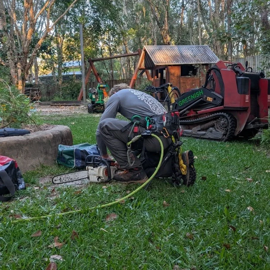 🌪️ GET IN EARLY! FREE QUOTES🌳

Don't put it off. Now is not only a great time to prune for your trees  health, as the weather cools, it's also a great time to be letting some more light in and also a great time to get in early in preparation for th