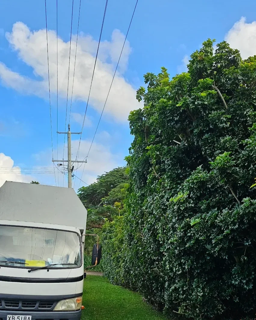 Truck parked on side of road near trees close to powerlines