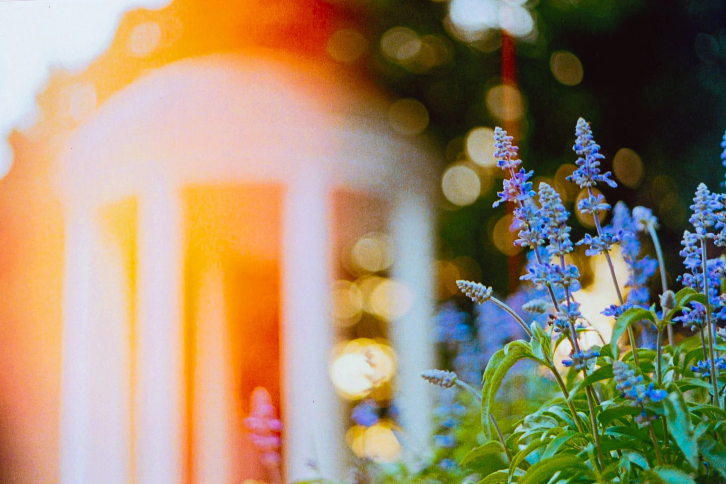 UNC Chapel Hill, 2020