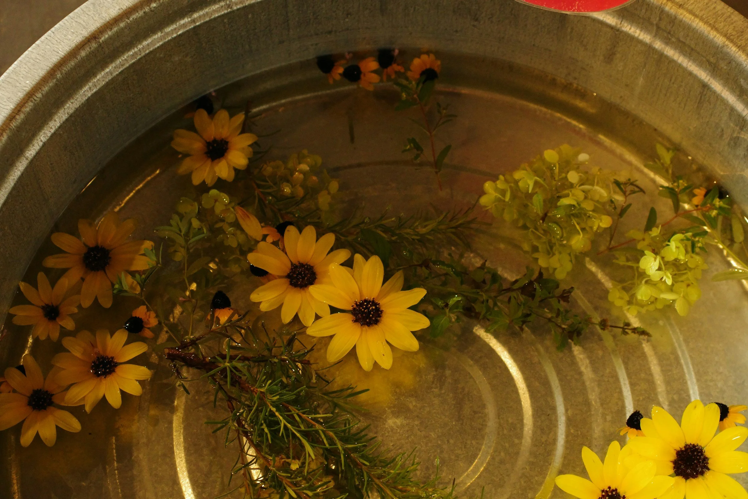 Chamomile Bath Tea