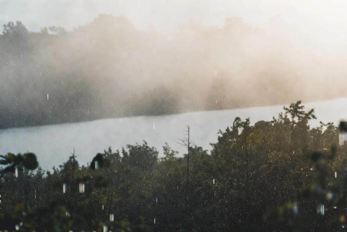What Is Acid Rain?