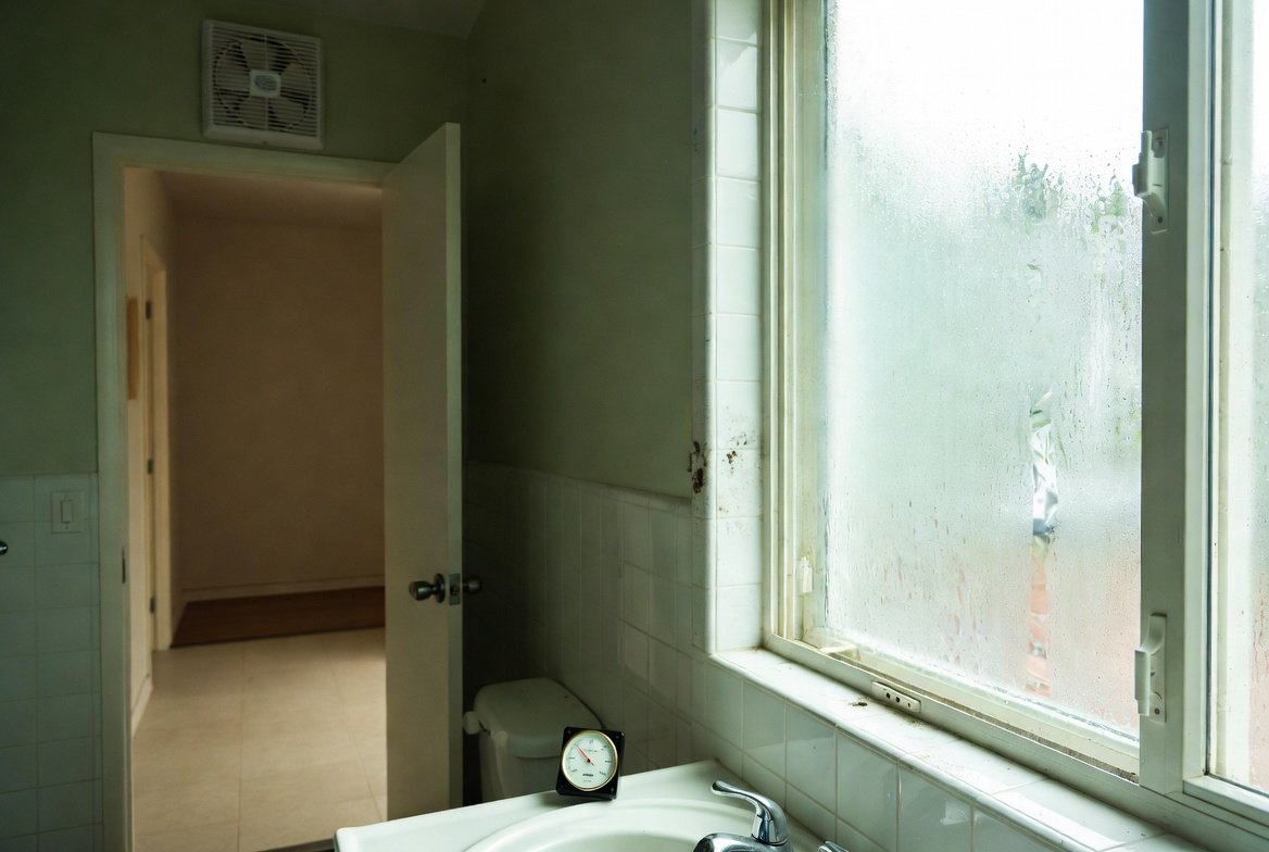 What Is Mold?