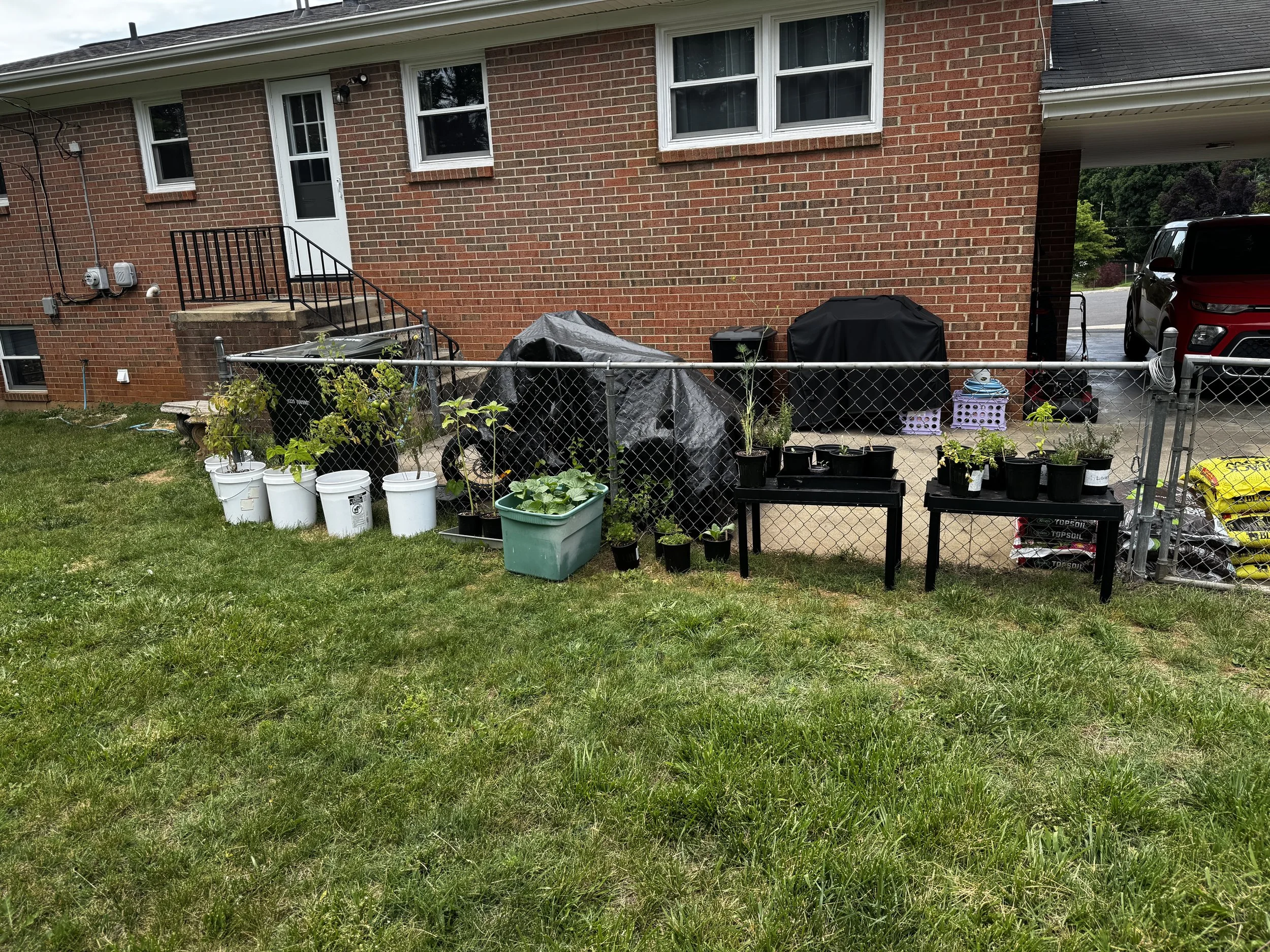 How to Start a Container Garden: The Setup I Actually Use