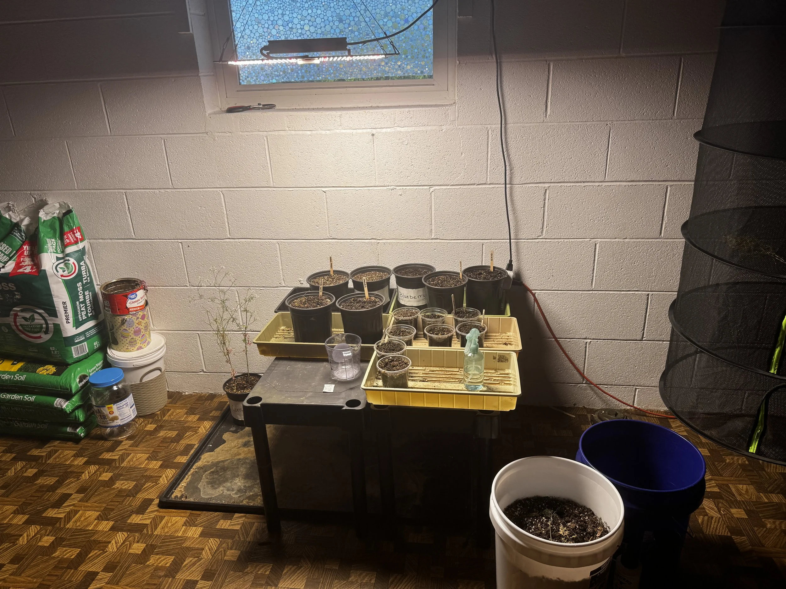 How to Start a Garden as a Beginner