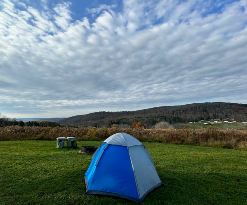 Screen Shot 2025-06-26 at 12.56.20 PM.png