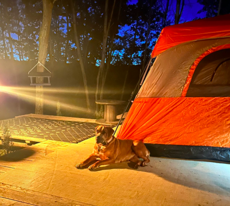 Screen Shot 2025-06-26 at 1.06.54 PM.png