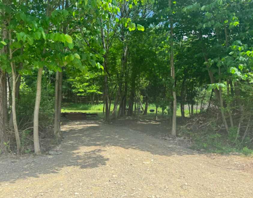 Screen Shot 2025-06-26 at 12.53.08 PM.png