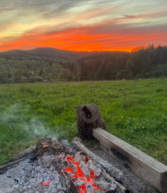 Screen Shot 2025-06-26 at 12.52.26 PM.png