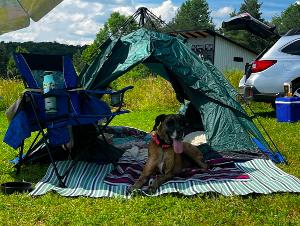 Screen Shot 2025-06-26 at 1.06.41 PM.png