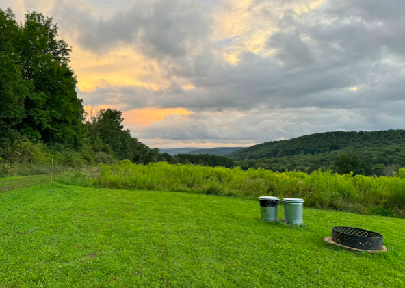 Screen Shot 2025-06-26 at 1.03.19 PM.png