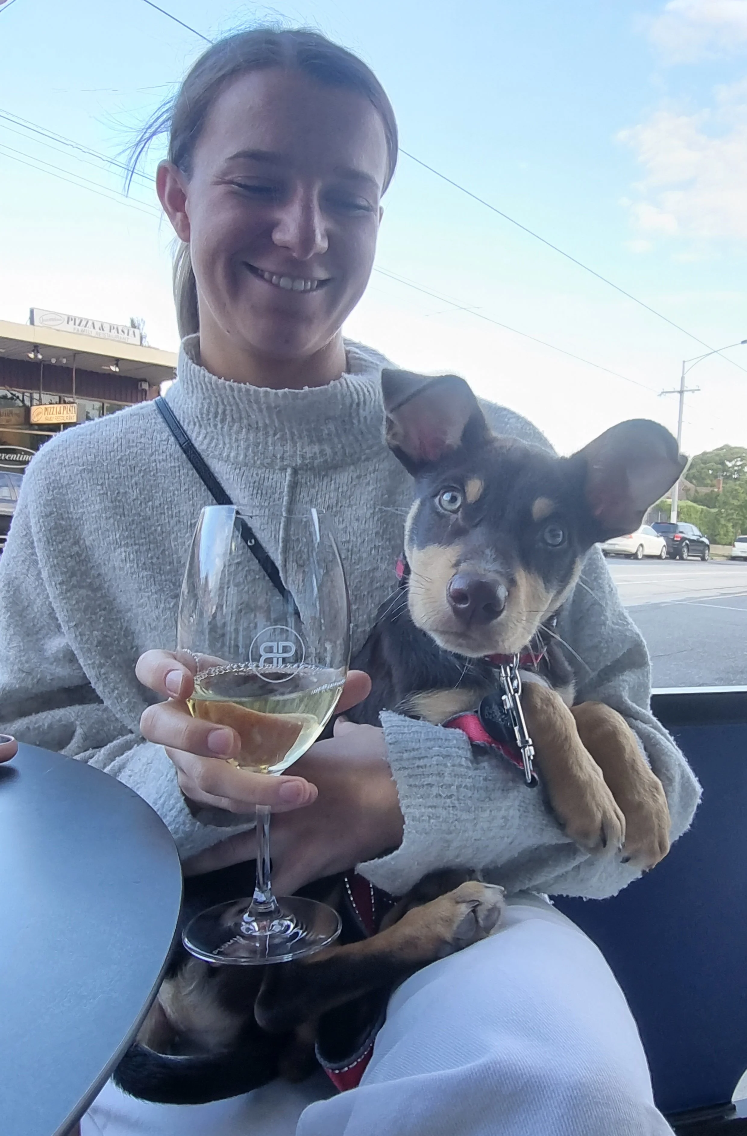Dog friendly wine bar for all of our outdoor seating areas. Stop off on your daily dog walks, stay hydrated.