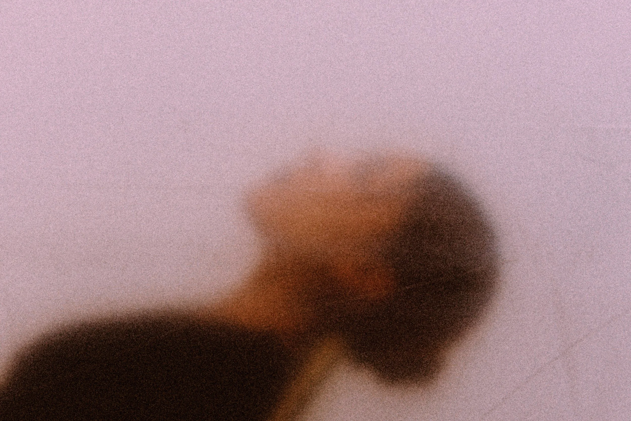 shadowed image of woman's head and chest, chestnut hair in loose bun.