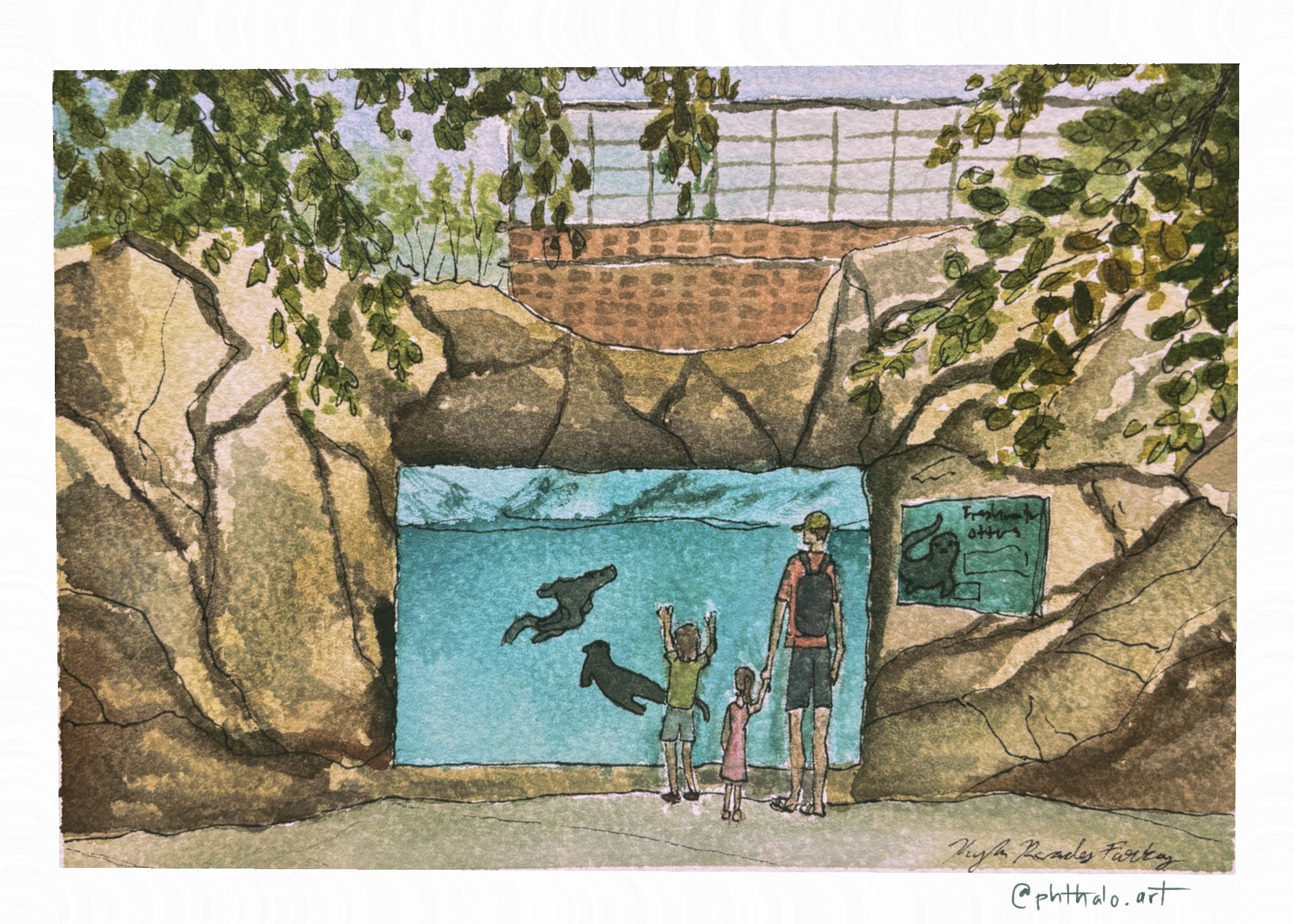13.530_Otters_At_The_Zoo_.jpg