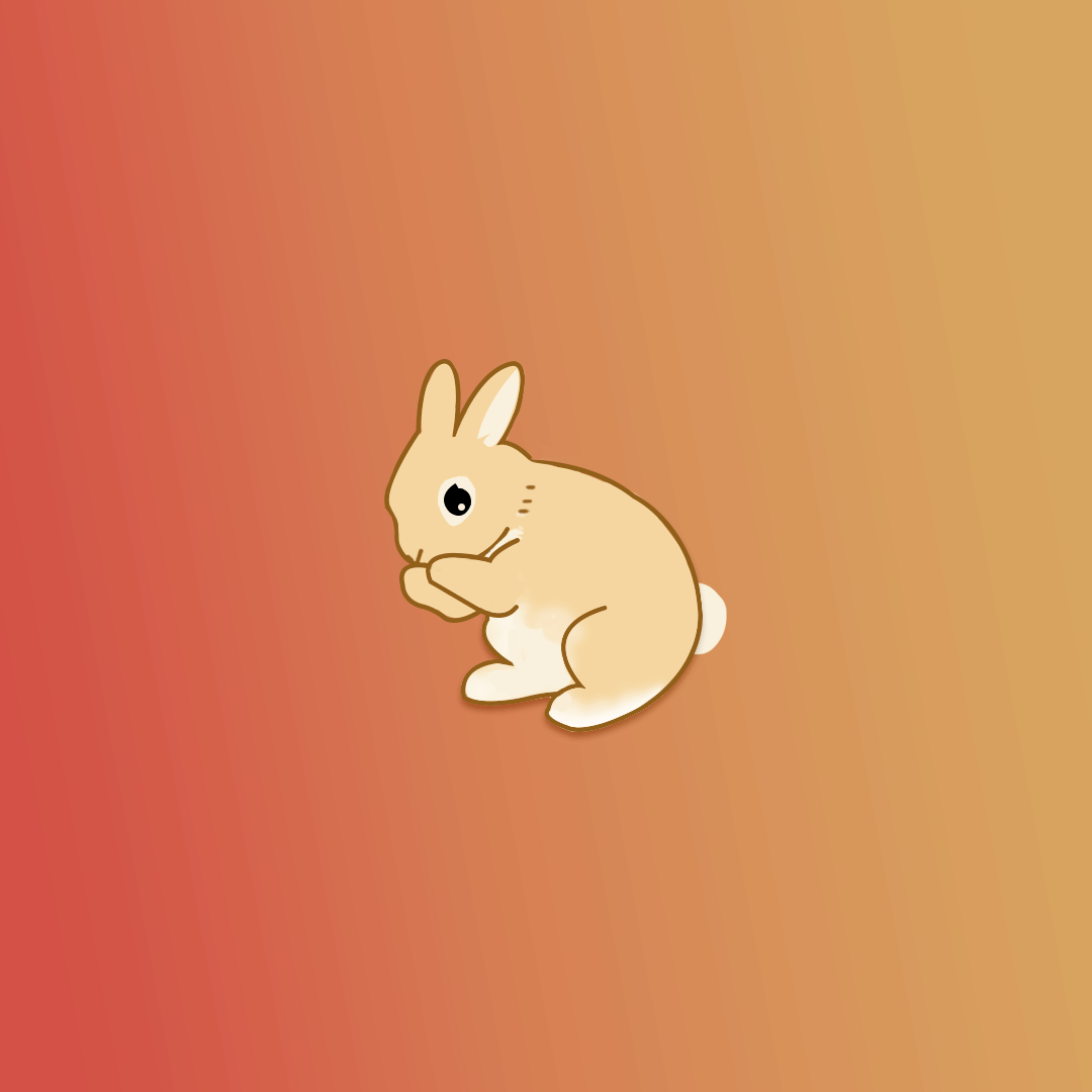 Rabbit transition.gif
