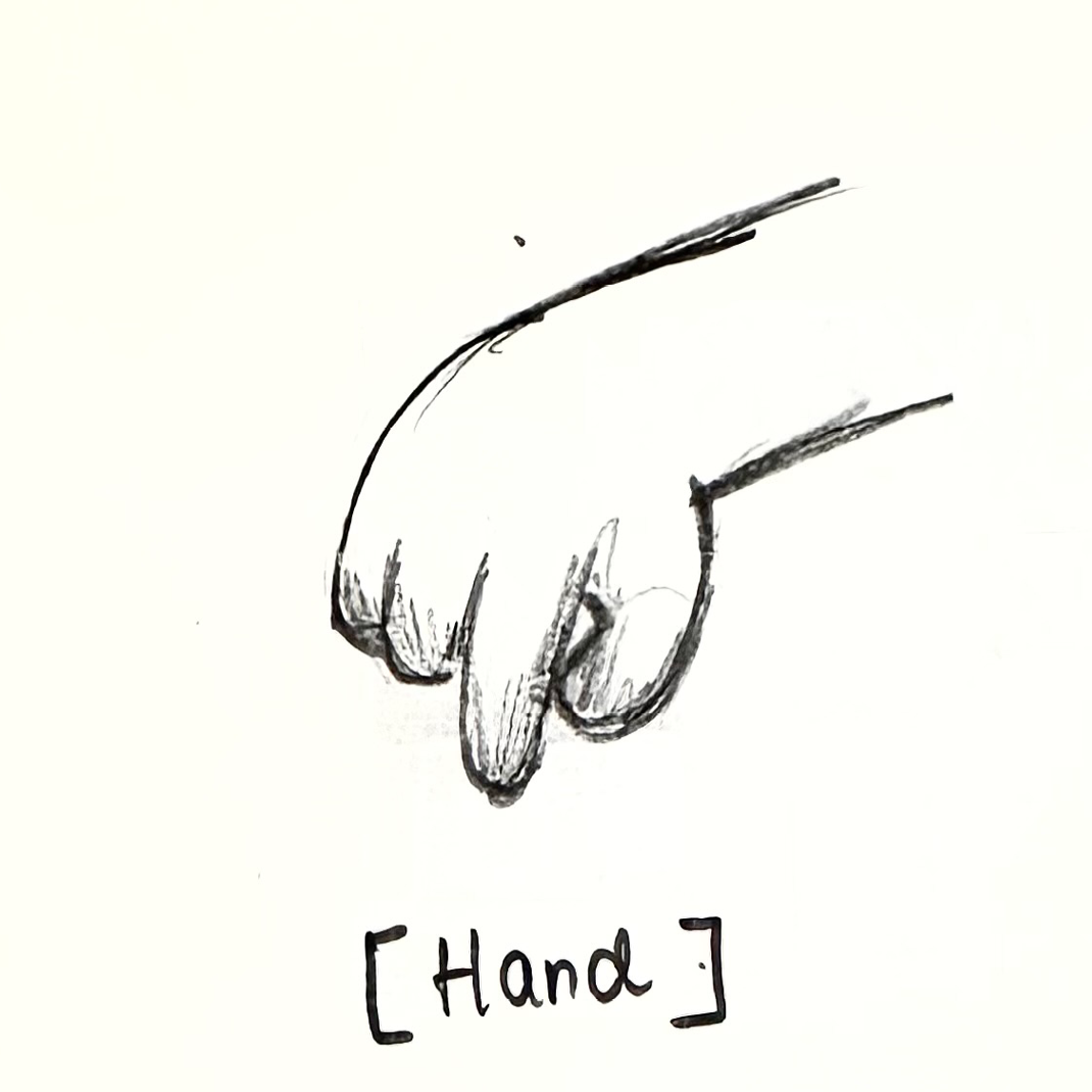 Hand Aset.png