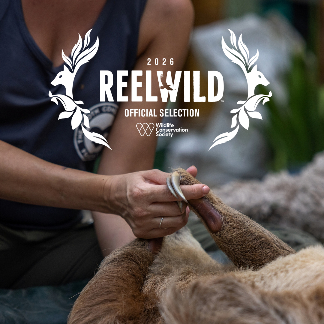 In Her Nature Docuseries Reel Wild Official Selection