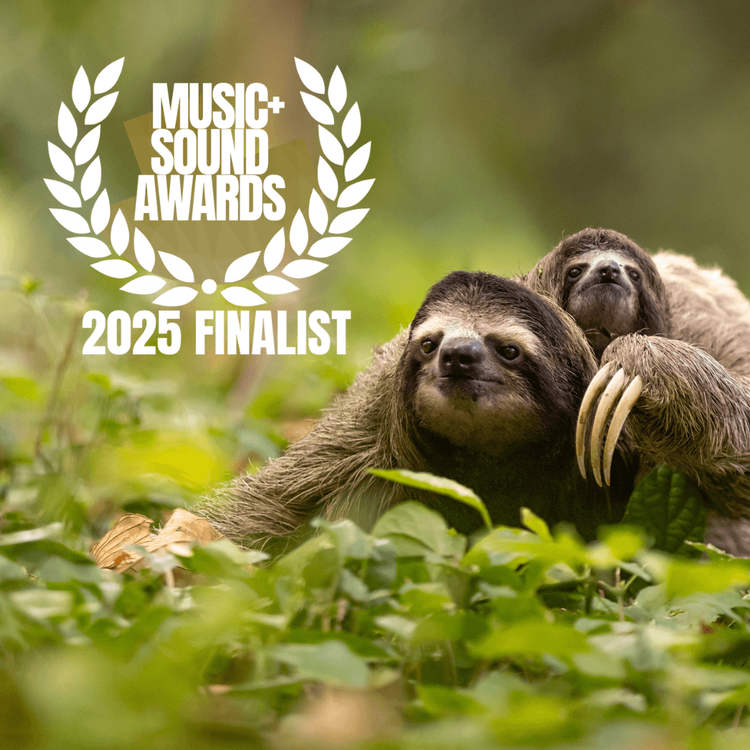 In Her Nature Docuseries Music and Sound Awards